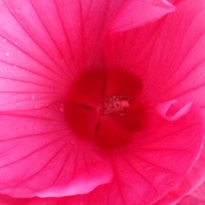 Profile Picture of Bruce Bailey (@thebloomchat) on Twitter