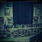 Profile Picture of Echo (@echo_jamesreid84780_livezey) on Instagram