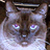 Profile Picture of Leo Frishberg (@Leo Dee) on Flickr