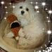 Profile Picture of Barbara Engelmann (@barbara.engelmann.9) on Facebook