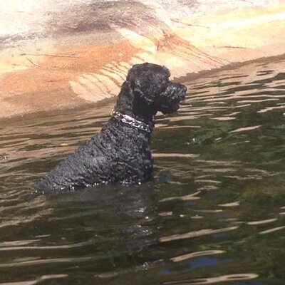 Profile Picture of Pamela Rosen (@wribit21) on Twitter