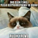 Profile Picture of Eli Hedges (@roi_de_fracas57) on Instagram