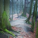 Profile Picture of Daniela Brandt (@daniela.fhf) on Instagram