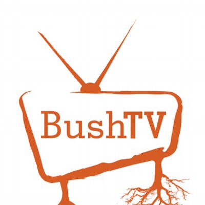 Profile Picture of BushTV Enterprises (@bushtvmob) on Twitter