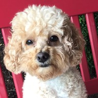 Profile Picture of Molly Singleton (@molly-singleton-4) on Quora