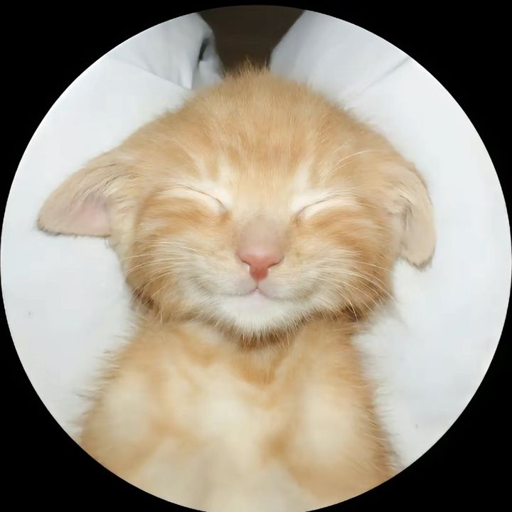 Profile Picture of Albert_Cooks (@albert_cooks) on Tiktok