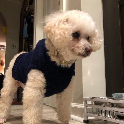 Profile Picture of Catherine Bridge (@BridgeCatherine) on Twitter