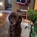 Profile Picture of Danny Essary (@danny.essary.79) on Facebook