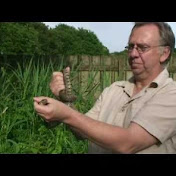Profile Picture of Cyberheritage Steve Johnson (@cyberheritage) on Youtube