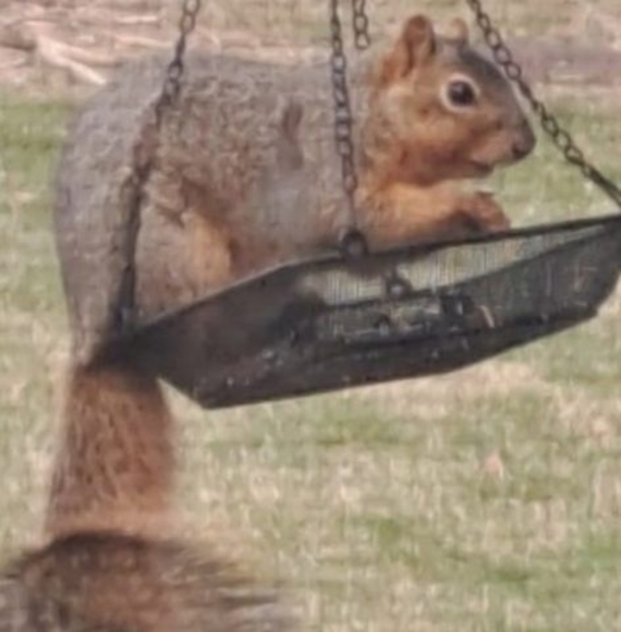 Profile Picture of Mollie mcgary Zimmerman (@moll56) on Poshmark