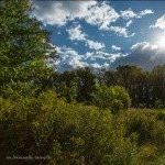 Profile Picture of Hooklands (@hooklandsglenn) on Instagram