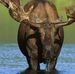 Profile Picture of Mitchell Moose (@mitchell.moose.71) on Facebook