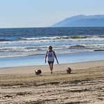 Profile Picture of Loretta Curti Harper (@mamaharper57) on Instagram