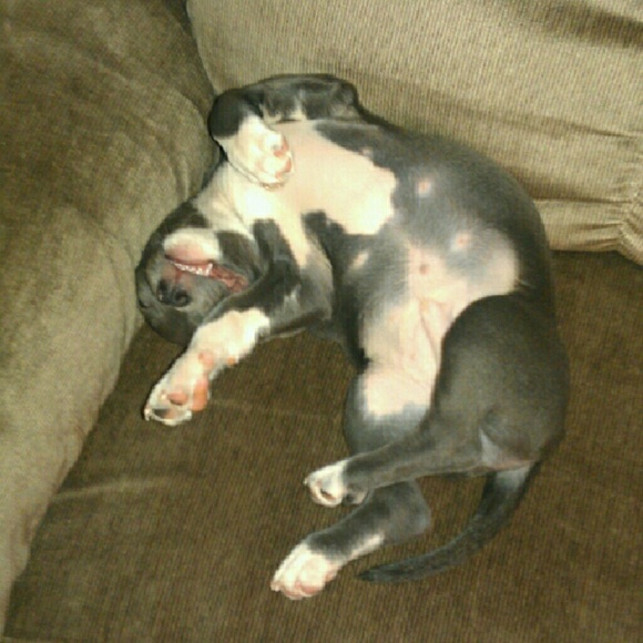 Profile Picture of Michael Ratchford (@max101) on Poshmark