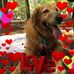 Profile Picture of Michels William (@william.michels.16) on Facebook