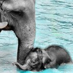 Profile Picture of Wayne McMillian (@adayarron) on Instagram