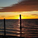 Profile Picture of Bergerie d'Alivon le Paty (@bergeriealivon) on Instagram