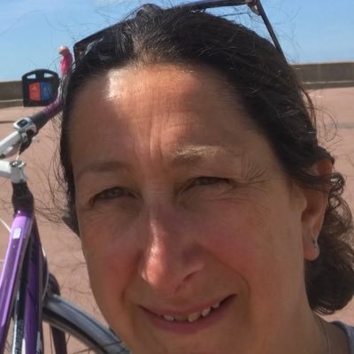 Profile Picture of Sue Howard (@suehowsolicitor) on Twitter