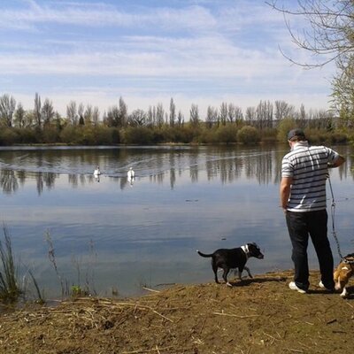 Profile Picture of Adam Budd (@abudd29) on Twitter