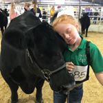 Profile Picture of Cora Sullivan (@cowlover104) on Instagram