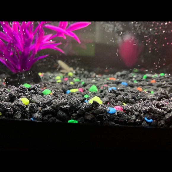 Profile Picture of Woo John (@woo_john) on Poshmark