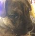 Profile Picture of Casey Sumpter (Toenail) (@casey.sumpter.77) on Facebook