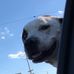 Profile Picture of Jason Simcox (@jason.simcox.33) on Facebook