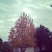 Profile Picture of Christopher Ojo (@ayoojoayo0032) on Pinterest