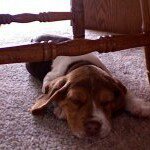 Profile Picture of Shawn Kroll (@shawn_kroll) on Instagram