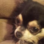 Profile Picture of Darien Payne (@wolfm2_the_best) on Instagram