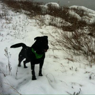 Profile Picture of Pierre Pouliot (@Pie1966) on Twitter