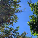 Profile Picture of Lorenzo Gutiérrez Plata (@lorenzogutierrezp) on Instagram