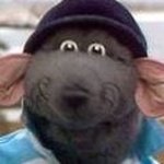 Profile Picture of Matthew Hales (@matthew.hales.756) on Instagram
