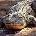Profile Picture of Ernest Tower (@ernest.tower.756) on Facebook