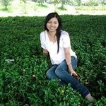 Profile Picture of Kimtho Le (@letho84) on Instagram