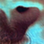 Profile Picture of Ken Bachor (@ken bachor) on Flickr