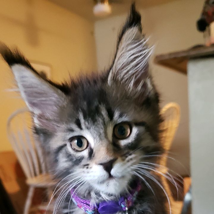 Profile Picture of RubyDaryl (@rubydaryl) on Tiktok