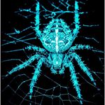 Profile Picture of spohr joshua (@zip6como) on Instagram
