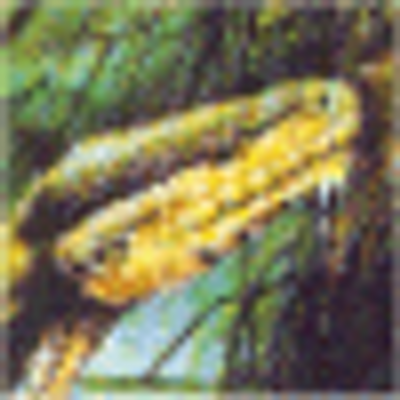 Profile Picture of Alan Bragg (@6ssquijibr) on Twitter