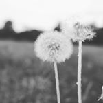 Profile Picture of Kim Napier (@kimnapier65) on Instagram