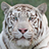 Profile Picture of aakc2010 (@aakc2010) on Flickr