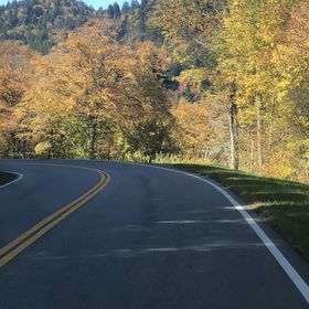 Profile Picture of Lori Bennett Roberts (@lorib38) on Pinterest