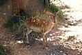 Profile Picture of Tygerberg Zooon Wikipedia