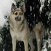 Profile Picture of brad redfern (@bradredfern420) on Pinterest