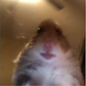 Profile Picture of Lucas Peters (@lucaspeters7387) on Youtube