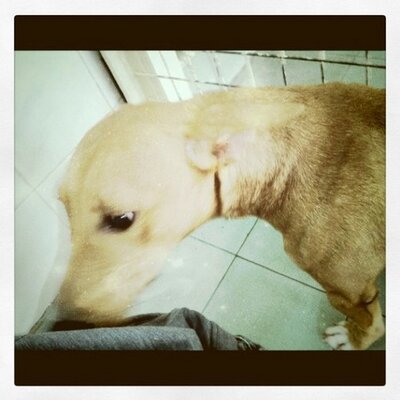 Profile Picture of Jason Chew (@jasonchew) on Twitter