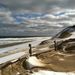Profile Picture of Lori Boyer-Byrne (@byrnelori) on Pinterest