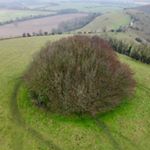 Profile Picture of David Brickell (@independent_remote_imaging) on Instagram