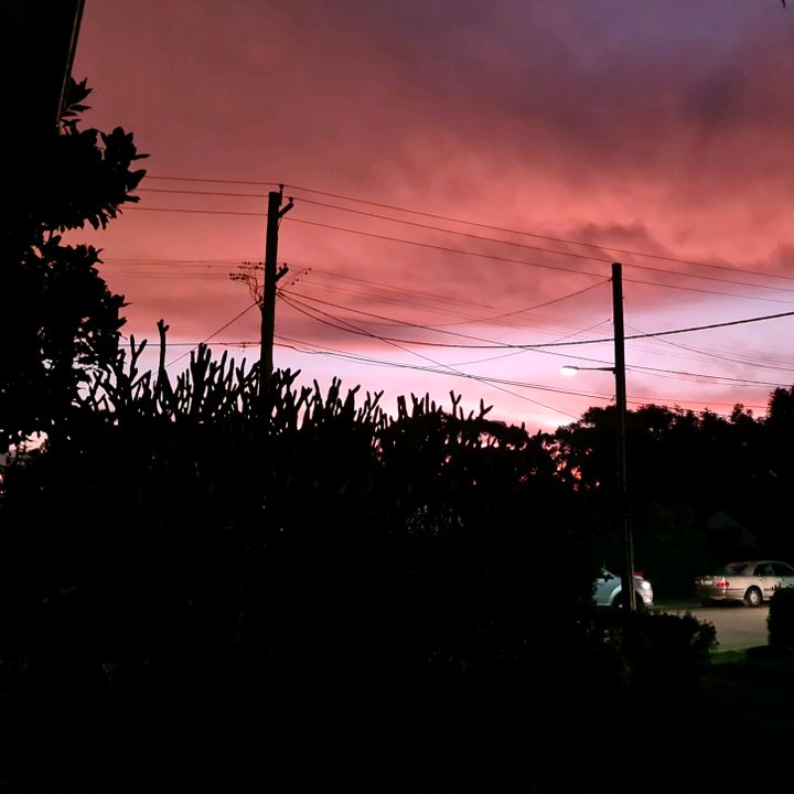 Profile Picture of the_backyard_burrows (@the_backyard_burrows) on Tiktok