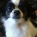 Profile Picture of Cathy Clayborne (@cathy.clayborne.5) on Facebook